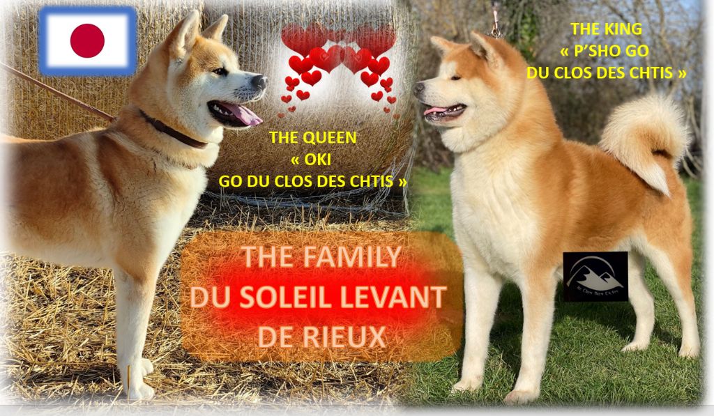 PRESENTATION DU MARIAGE